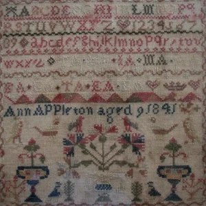 Ann Appleton Sampler