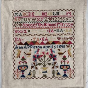Ann Appleton Sampler